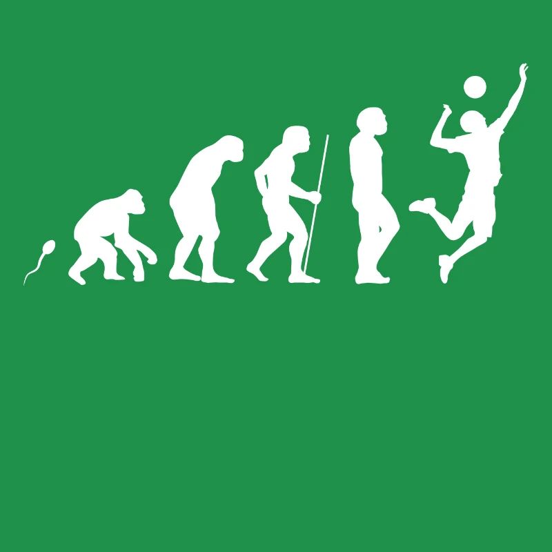 Evolution Volleyball 7