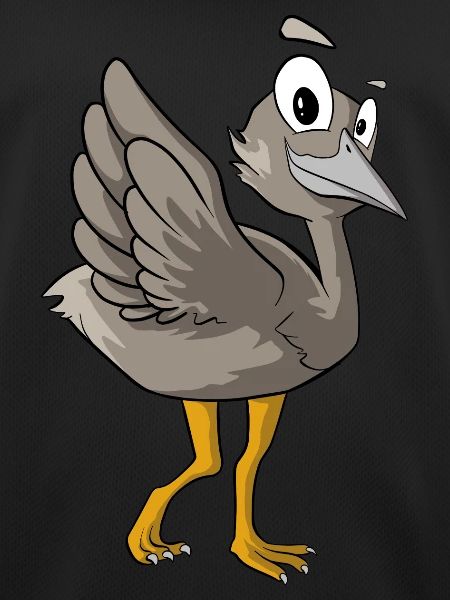 Cute Emu Bird