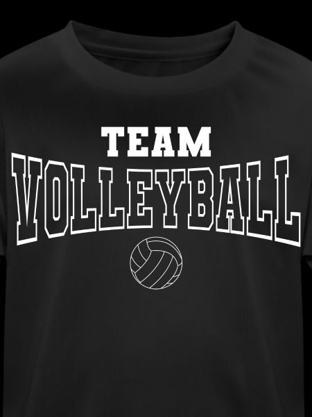 Volleyball Team