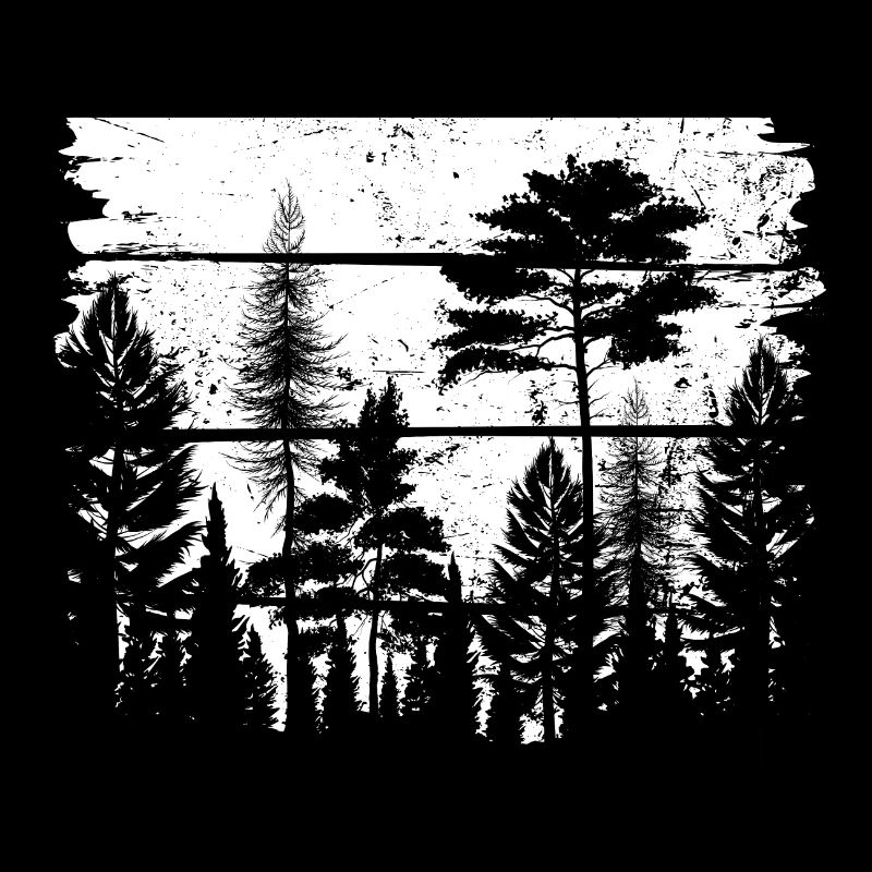 Dans la forêt noire et blanche en vintage