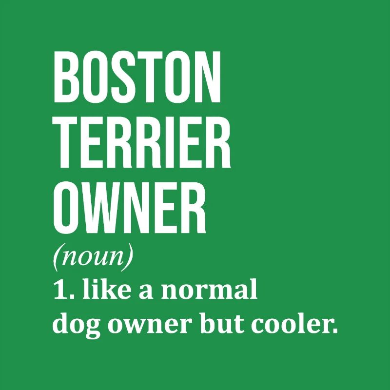 Boston Terrier