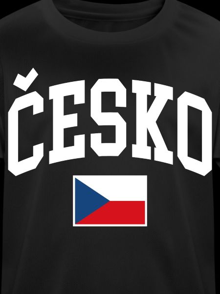 Czech Republic Flag