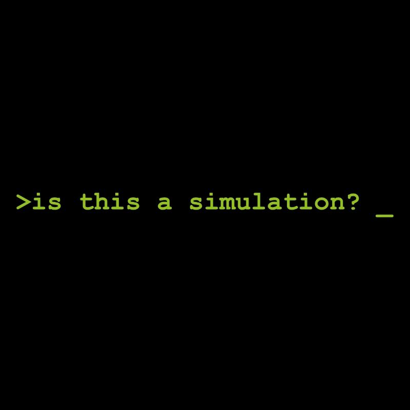 Is this a simulation Programming Computer Science