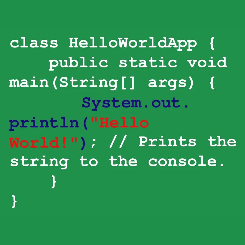 Programmer Coder Software Developer