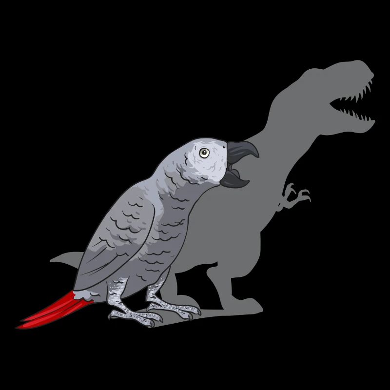 Graupapagei African Grey Parrot Papagei
