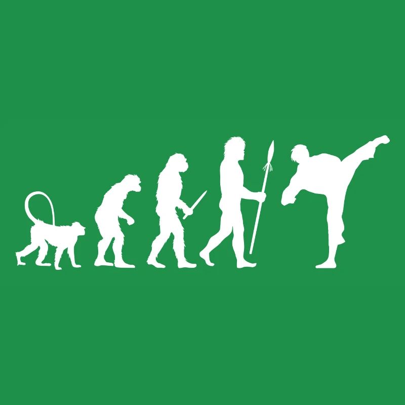Karate Evolution