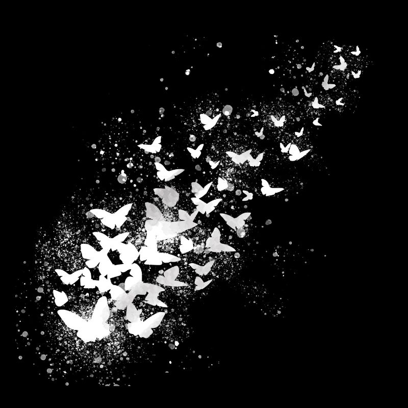 Papillons, graffitis, blanc, essaim volant,
