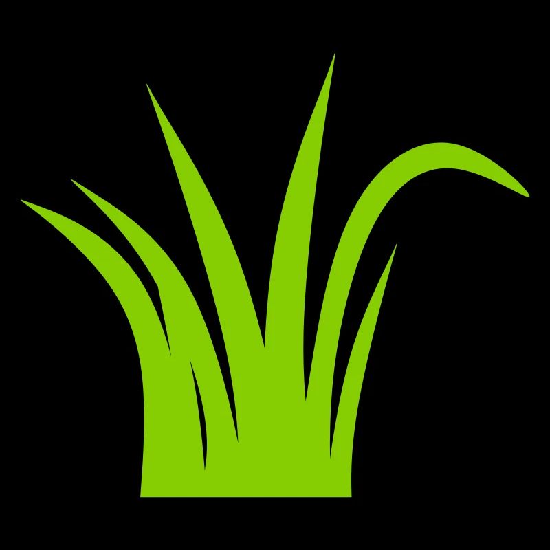 Herbe