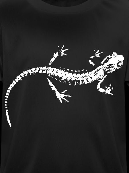 Salamander