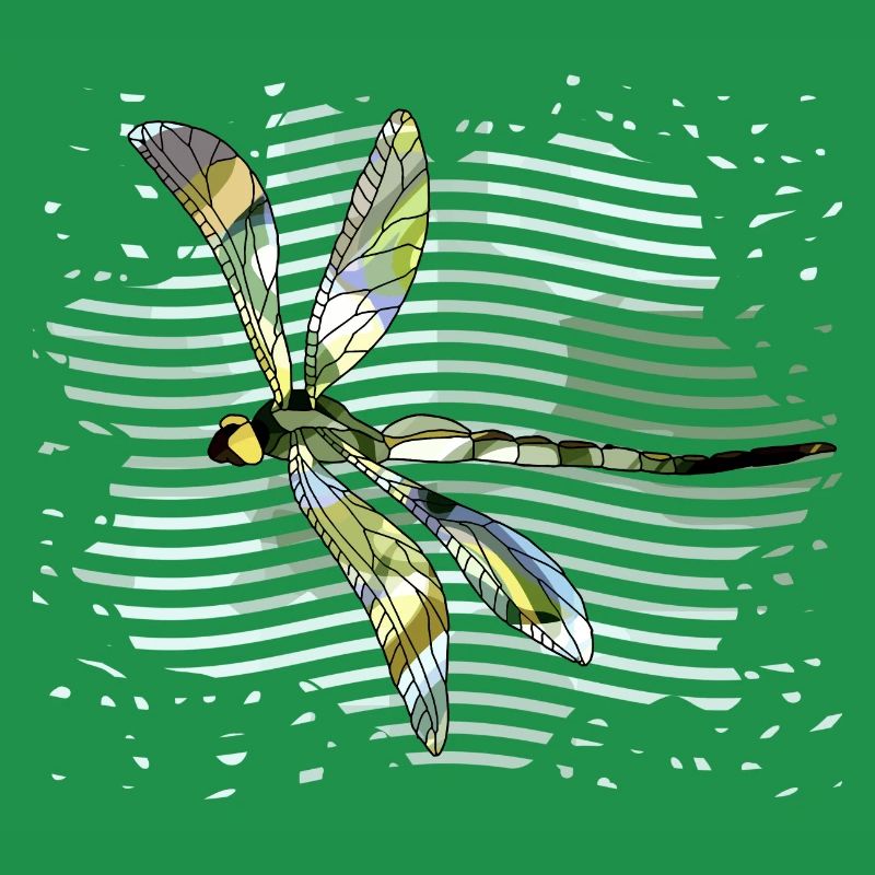 Libellule