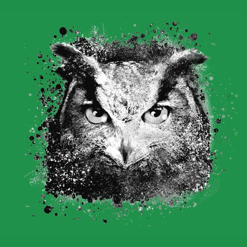 eule,graffiti,malerei,schwarz,grau