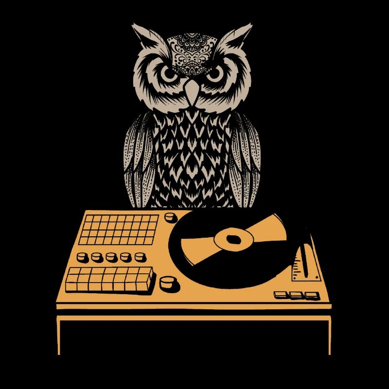 DJ Eule Plattenspieler Retro Vinyl
