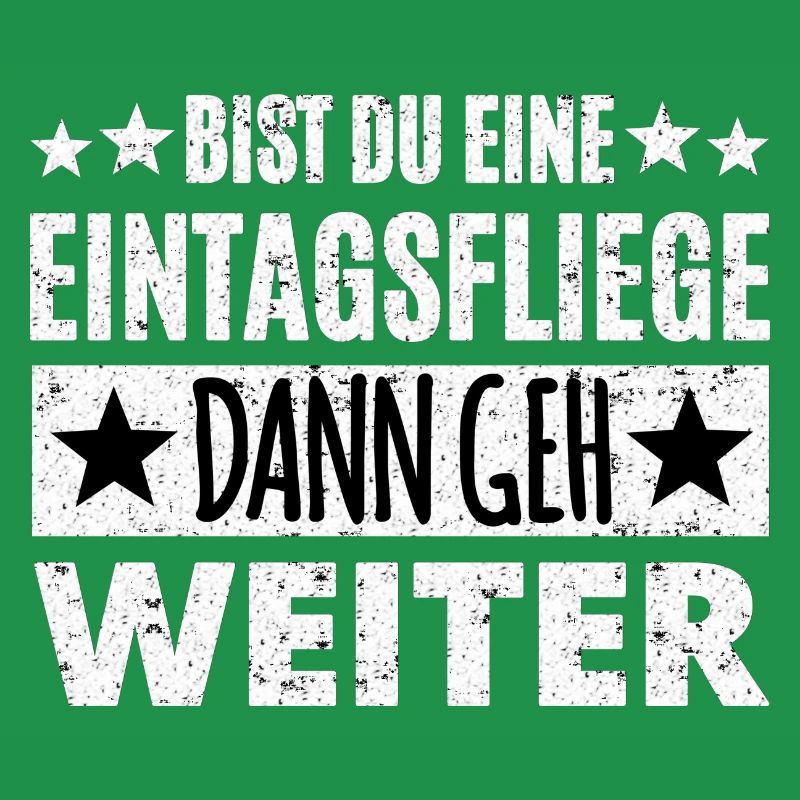 Spruch Eintagsfliege