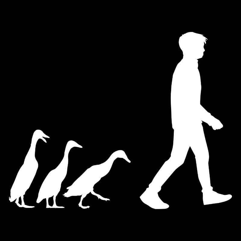 Running Duck Indian Running Duck Duck Duck