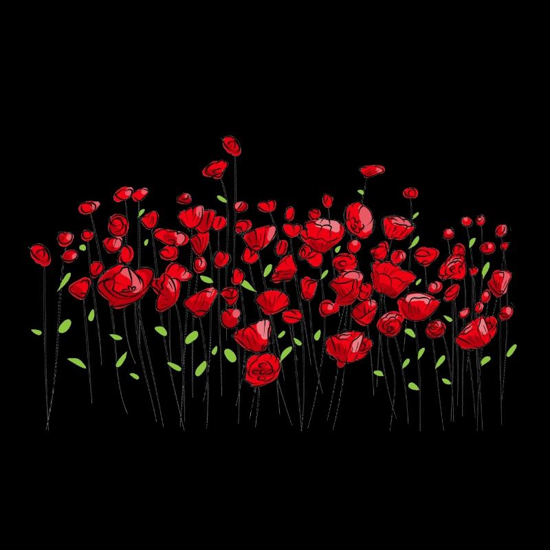 Coquelicots fleurs de pavot fleurs