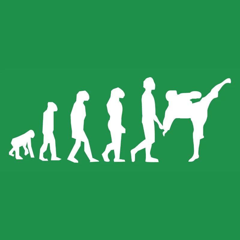 Art martiaux évolution