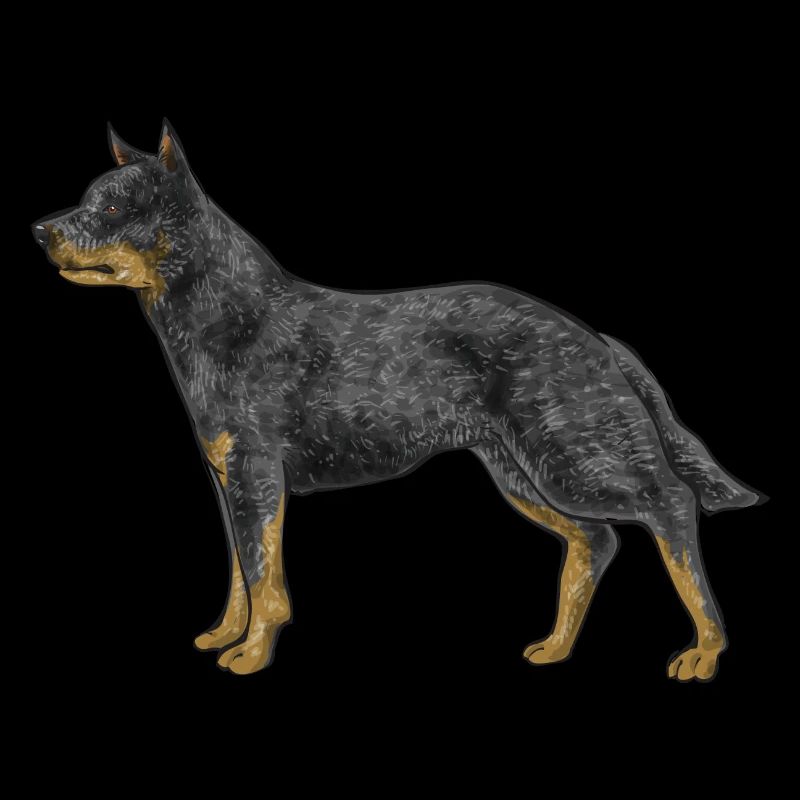 Australian Cattle Dog Red Blue Heeler
