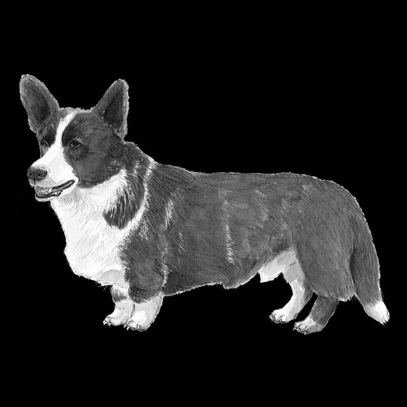 Walisische Corgi-Strickjacke