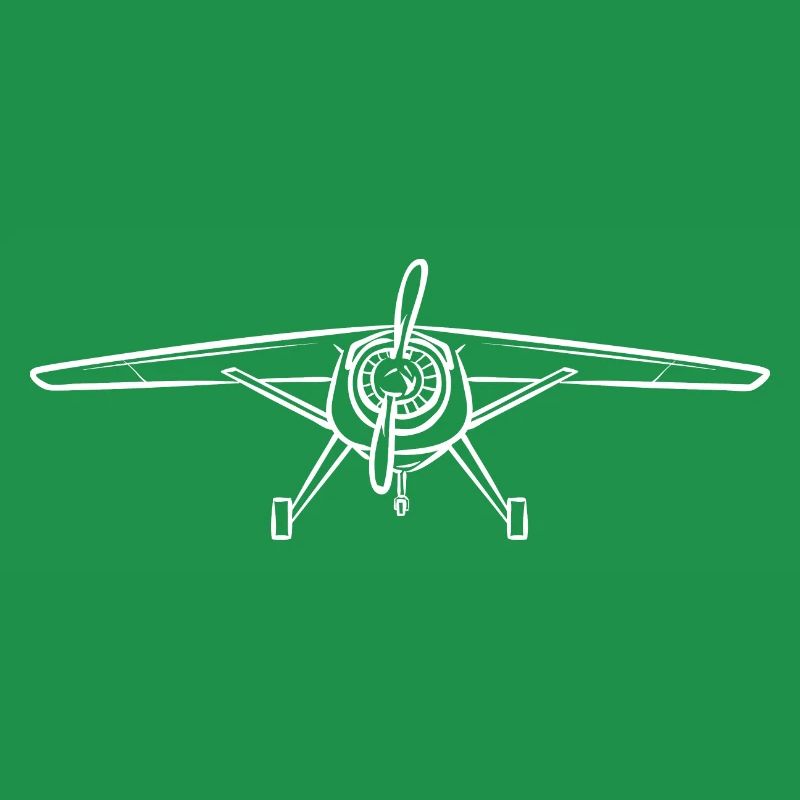 Modèle d’avion télécommandé