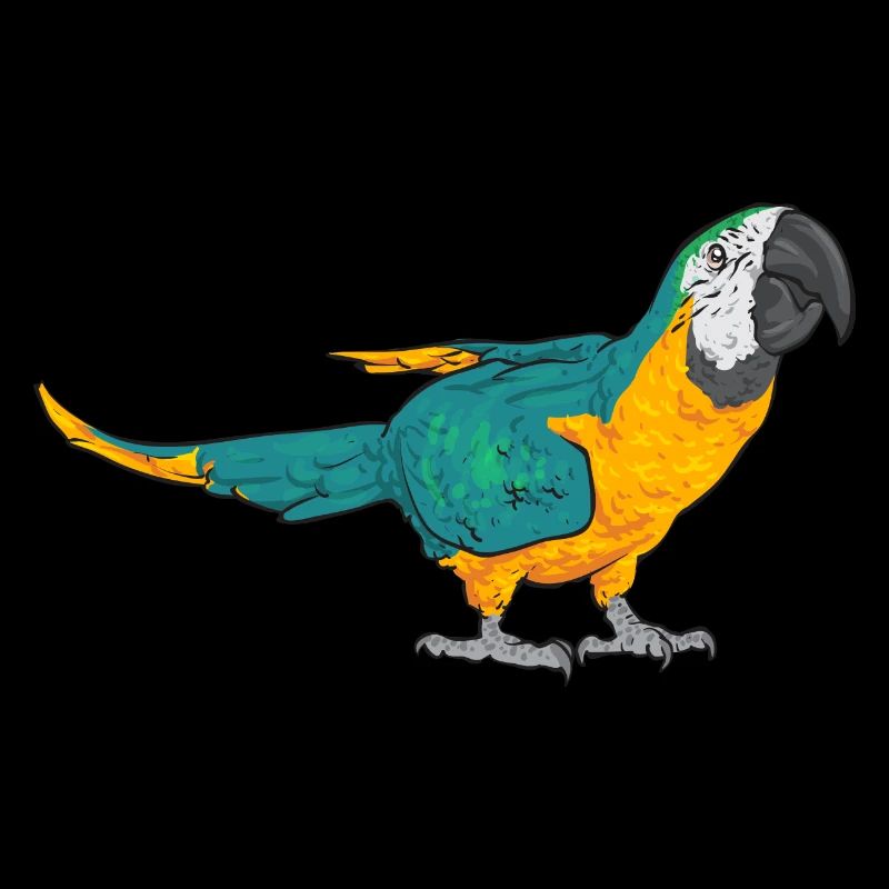 Yellow-breasted Macaw Parrot Blue And Yellow Macaw