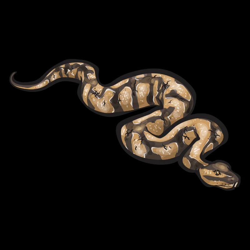 Ball Python Schlange Königspython