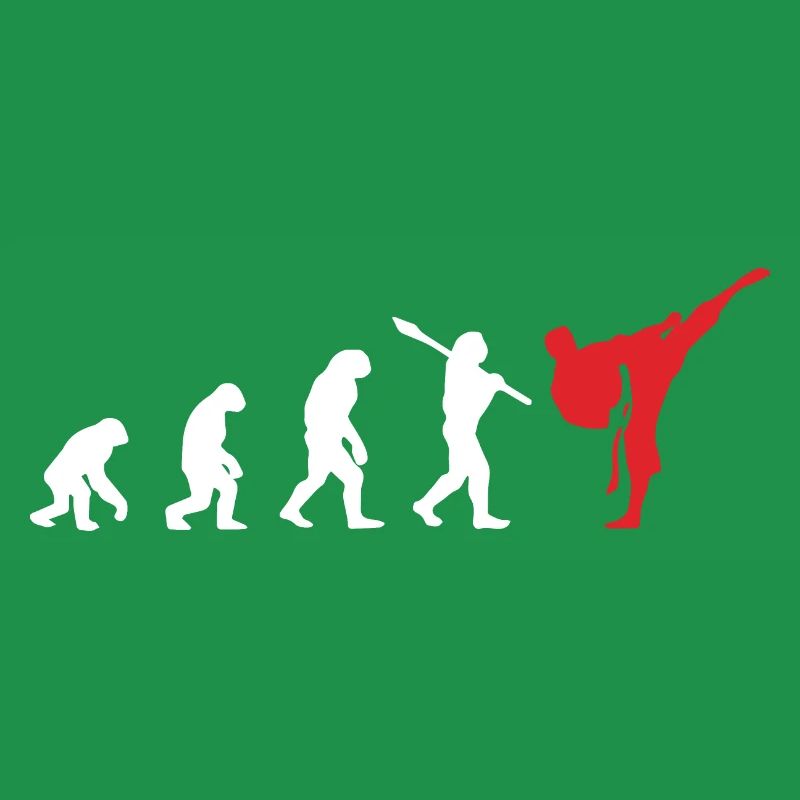 Karate Evolution Entwicklung Kamfkunst