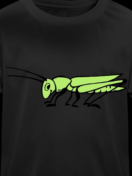 Grasshopper