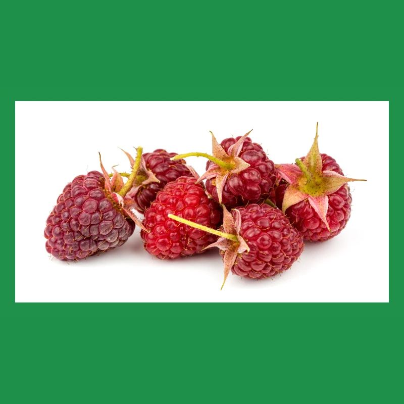 Raspberry. Raspberry