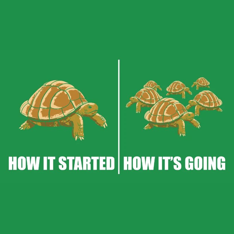 Funny How It Started How It's Going Turtle Reptile