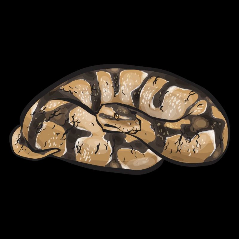 Ball Python Schlange Königspython