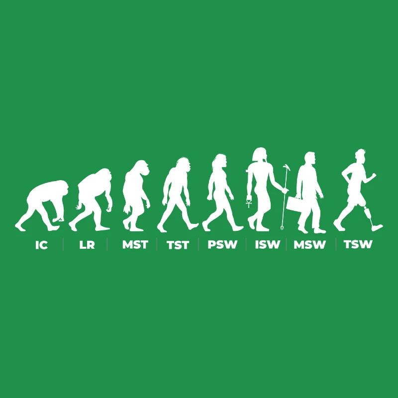 Die Evolution & der Gangzyklus (gOT it!)