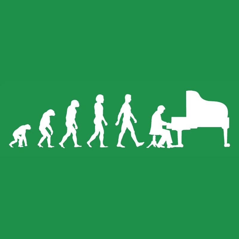 Pianist Evolution Klavier