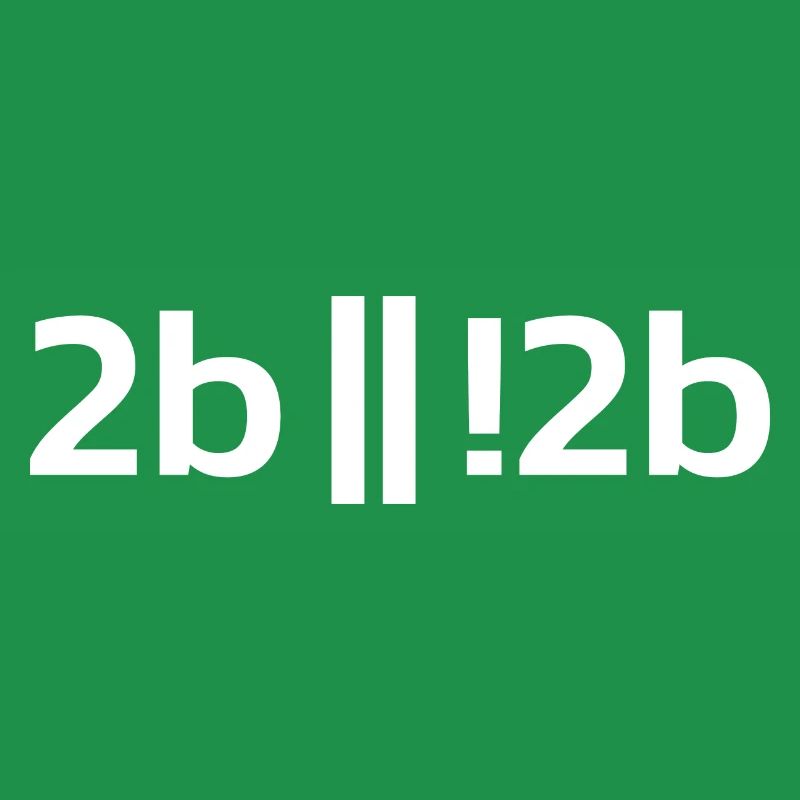 To be or not to be ? Funny Programmer Programer