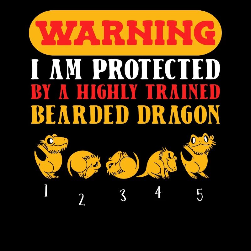 Bartagame Dragon barbu
