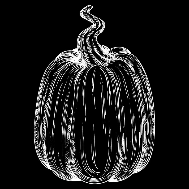 Pumpkin Hand Drawn