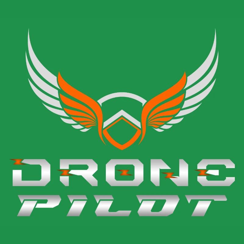 Drone Drones Drone Flight Drone Pilot