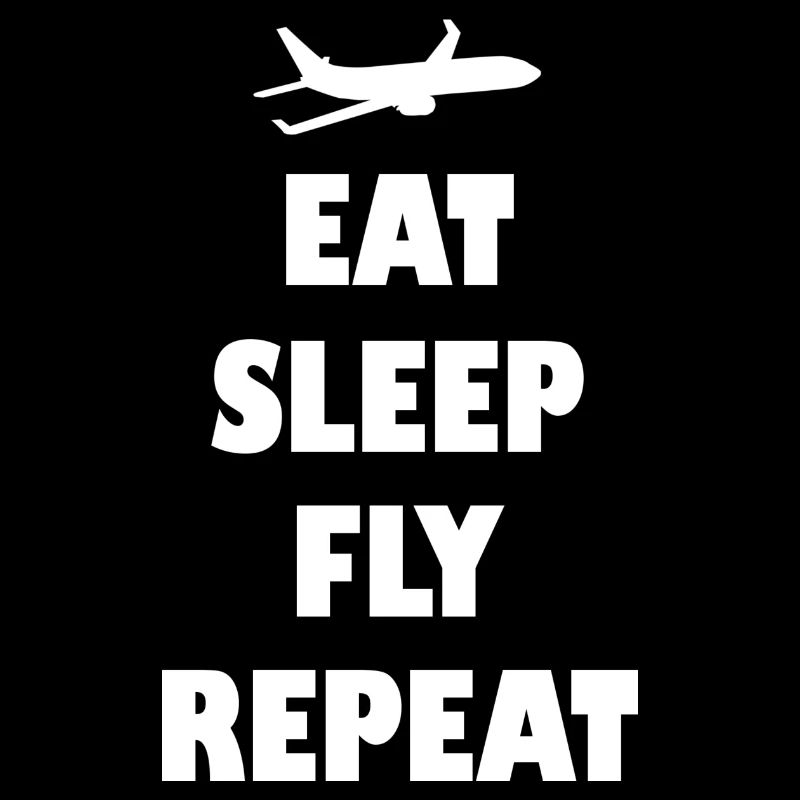 Stewardess Steward Pilot Pilotin Fly