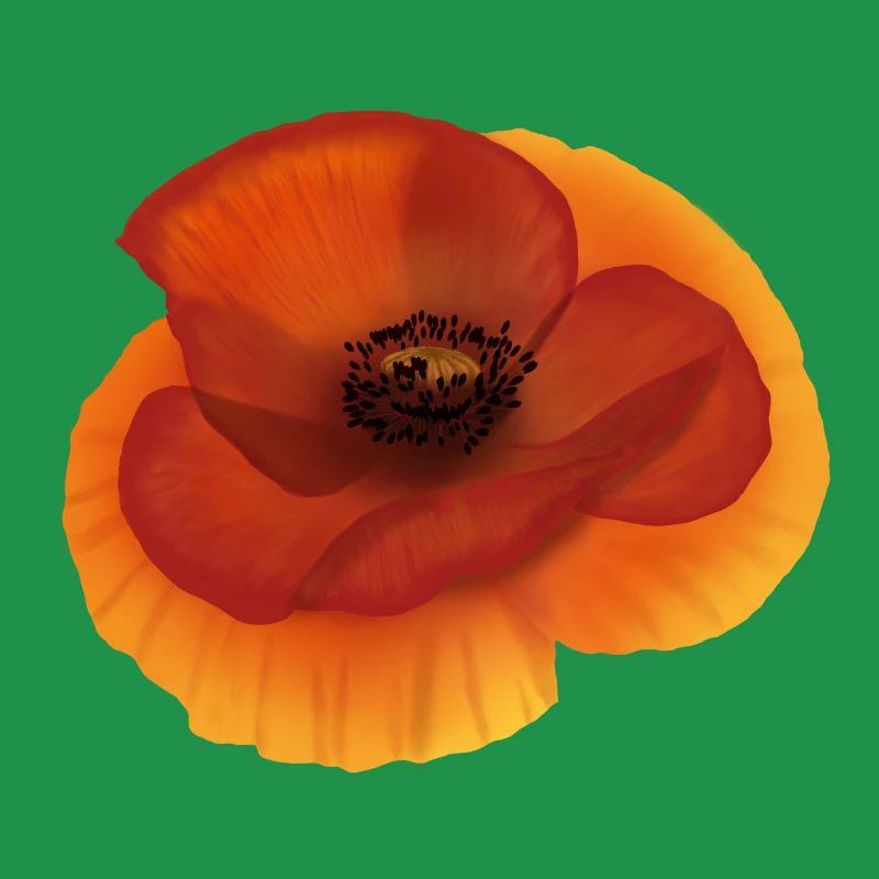 Mohn
