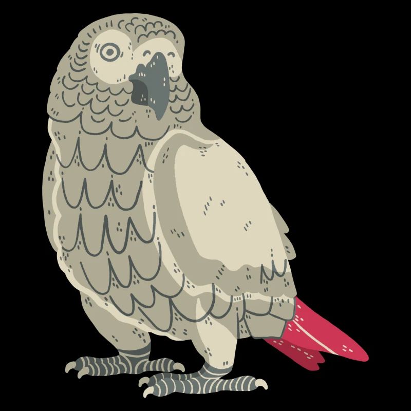 Grey parrot