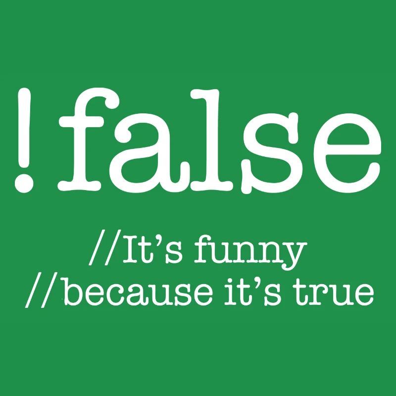 False Programming Coding Programmers Gift