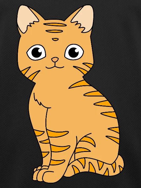 Tabby Cat