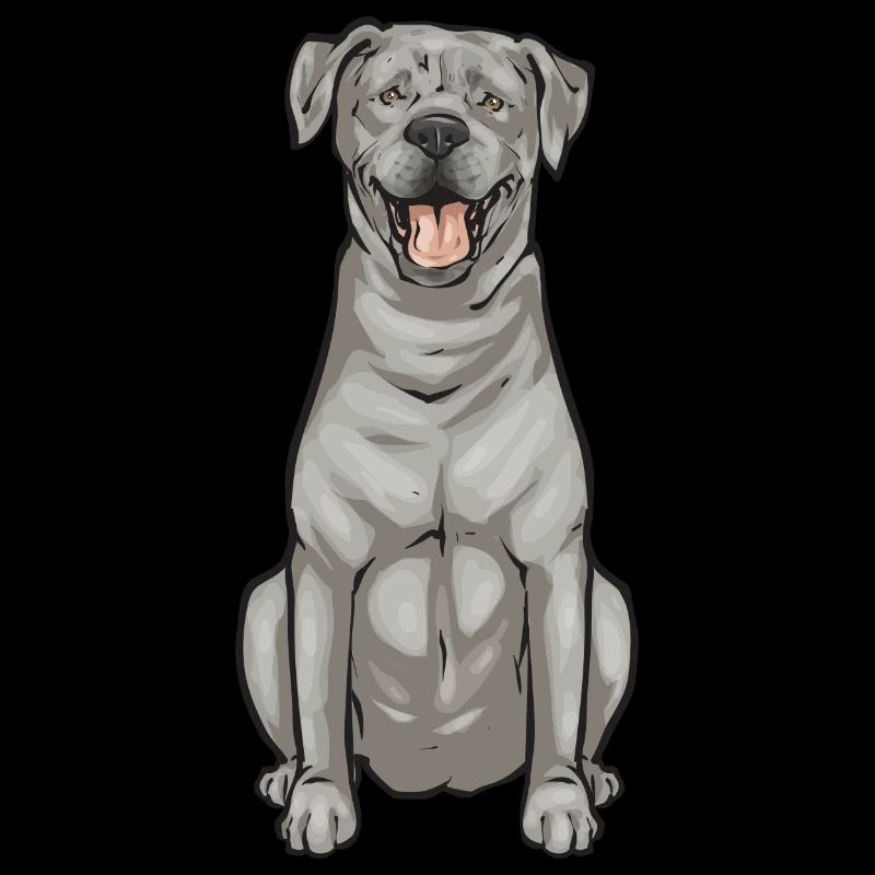 Silver Labrador Retriever Silver Lab
