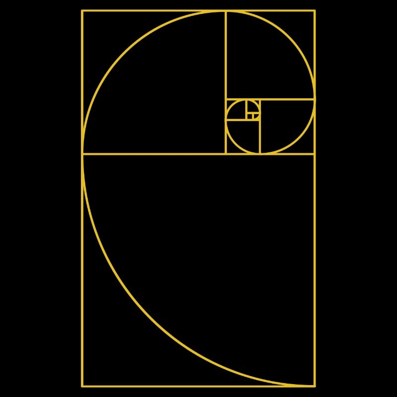 Spiral Gift Fibonacci Follow Math Teacher