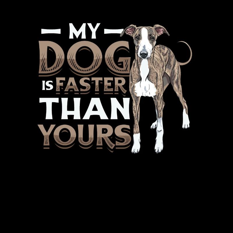 Mon chien est plus rapide que votre lévrier.