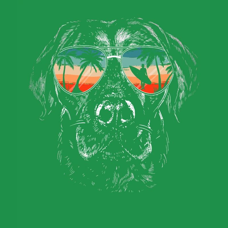 Chien Labrador