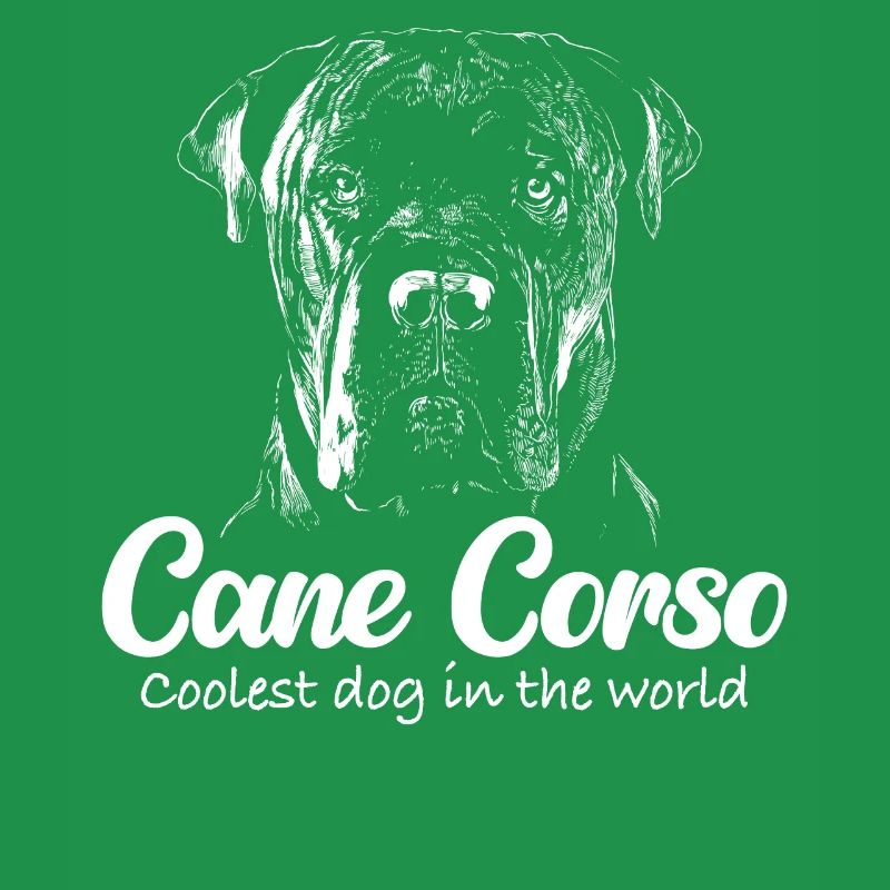 Cane Corso Hund