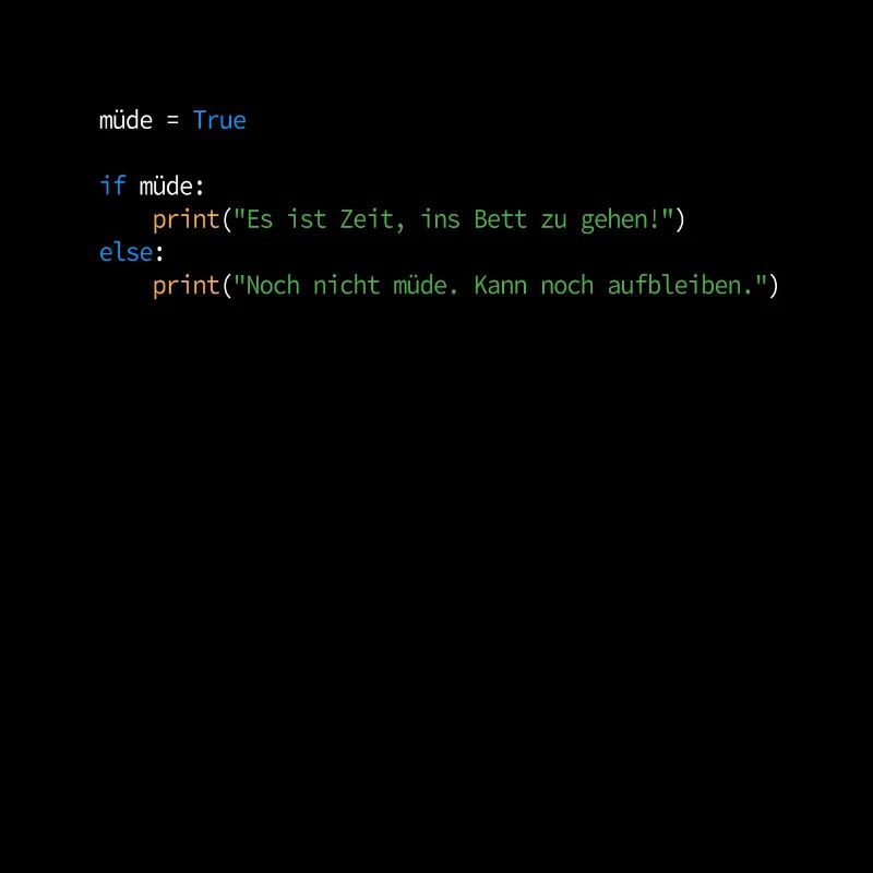 Programmierer Informatiker Nerd Softwareingenieur