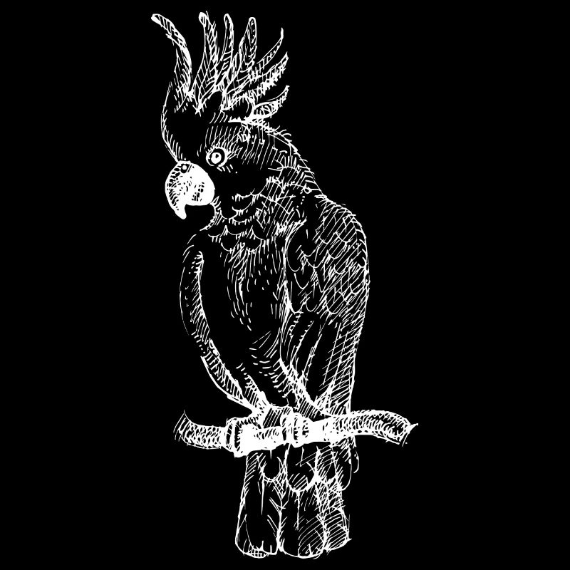 Hand Drawn Tropical Bird Cockatoo