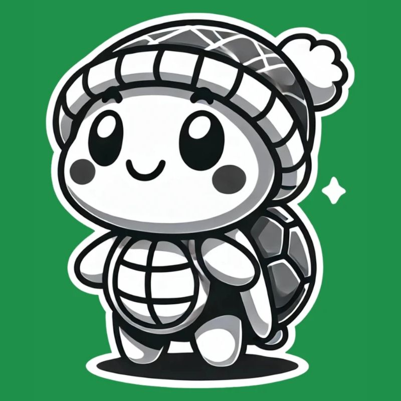 Curious Turtle - Hat Explorer