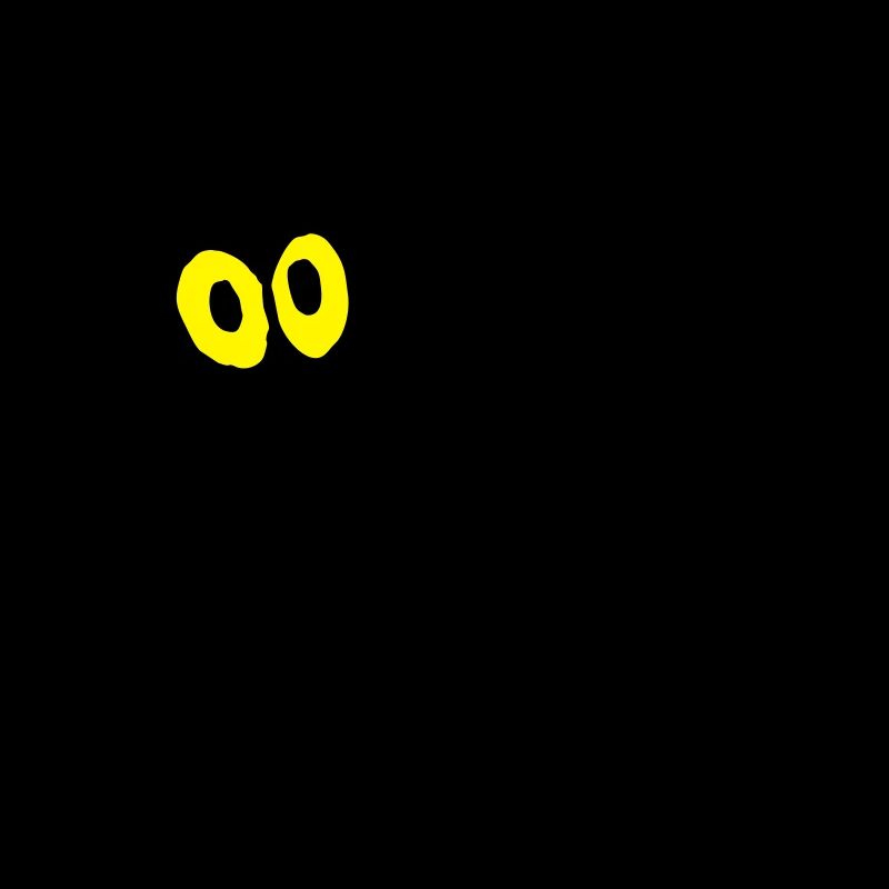 chat noir